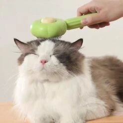 QT Petshop - Haarverwijderaar Voor Huisdieren - Groene Kattenborstel - Furminator Hondenborstel - Anti-Klit - Diervriendelijk - Dierenverzorging 13 QT Petshop - Haarverwijderaar Voor Huisdieren - Groene Kattenborstel - Furminator Hondenborstel - Anti-Klit - Diervriendelijk - Dierenverzorging -Honden Benodigdheden Verkoop 1200x1200 214