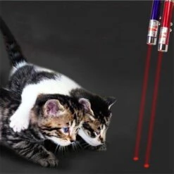 Katten Laser - Lampje Voor De Kat - 2 In 1 - Laser + Wit Lampje - Met Hanger - Katten / Honden Laserlamp - Mini - Sleutelhanger 6 Katten Laser - Lampje Voor De Kat - 2 In 1 - Laser + Wit Lampje - Met Hanger - Katten / Honden Laserlamp - Mini - Sleutelhanger -Honden Benodigdheden Verkoop 1200x1200 2158