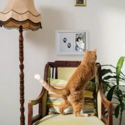 NOVOB® Fotolijst Met Inktafdruk - Pootafdruk Hond - Contactloos - Paw Print - Hondenspeelgoed - Afdruk Huisdier - Cadeau - 23.5 X 29 Cm | Wit -Honden Benodigdheden Verkoop 1200x1200 2163