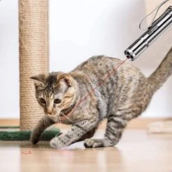 Laserpen - Kattenspeeltjes - Laser - Katten Speelgoed - Kattenspeelgoed - Laserlampje Kat - Speeltjes - Pointer - Lamp - Laserlampje - USB Oplaadbaar 13 Laserpen - Kattenspeeltjes - Laser - Katten Speelgoed - Kattenspeelgoed - Laserlampje Kat - Speeltjes - Pointer - Lamp - Laserlampje - USB Oplaadbaar -Honden Benodigdheden Verkoop 1200x1200 2167
