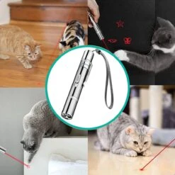 Laserpen - Kattenspeeltjes - Laser - Katten Speelgoed - Kattenspeelgoed - Laserlampje Kat - Speeltjes - Pointer - Lamp - Laserlampje - USB Oplaadbaar 18 Laserpen - Kattenspeeltjes - Laser - Katten Speelgoed - Kattenspeelgoed - Laserlampje Kat - Speeltjes - Pointer - Lamp - Laserlampje - USB Oplaadbaar -Honden Benodigdheden Verkoop 1200x1200 2172