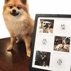 Merkloos Paw Print Pad - Pootafdruk Maken Van Hond Of Kat 10 Merkloos Paw Print Pad - Pootafdruk Maken Van Hond Of Kat -Honden Benodigdheden Verkoop 1200x1200 2235