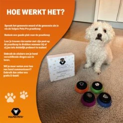 Vulpes Pets® PRO Praatknop Voor Honden Met Speelmat - Dogbuttons - Laat Uw Huisdier Spreken - Hondenspeelgoed - Honden Training - Inclusief E-Book En Speelmat 27 Vulpes Pets® PRO Praatknop Voor Honden Met Speelmat - Dogbuttons - Laat Uw Huisdier Spreken - Hondenspeelgoed - Honden Training - Inclusief E-Book En Speelmat -Honden Benodigdheden Verkoop 1200x1200 2247