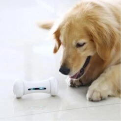 Wickedbone - Automatisch, Interactief En Intelligent Speelgoed Voor Honden - App & Bluetooth Bestuurbaar - USB Oplaadbaar -Honden Benodigdheden Verkoop 1200x1200 2266