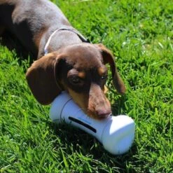 Cheerble Wickedbone|Automatisch Hondenspeeltje|Interactief En Intelligent Speelgoed Voor Honden|App & Bluetooth Bestuurbaar|USB Oplaadbaar -Honden Benodigdheden Verkoop 1200x1200 2274