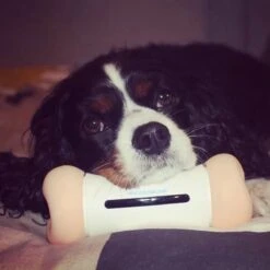 Cheerble Wickedbone|Automatisch Hondenspeeltje|Interactief En Intelligent Speelgoed Voor Honden|App & Bluetooth Bestuurbaar|USB Oplaadbaar -Honden Benodigdheden Verkoop 1200x1200 2275