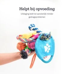 All 4 Pets Supply® Honden Speelgoed Set Geschikt Voor Puppy's T/m Middelgrote Honden - 12 Stuks - Hondenspeeltjes - Intelligentie - Touw - Flostouw - Bijtring - Bal -Honden Benodigdheden Verkoop 1200x1200 2290