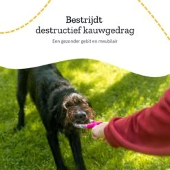 All 4 Pets Supply® Honden Speelgoed Set Geschikt Voor Puppy's T/m Middelgrote Honden - 12 Stuks - Hondenspeeltjes - Intelligentie - Touw - Flostouw - Bijtring - Bal -Honden Benodigdheden Verkoop 1200x1200 2292