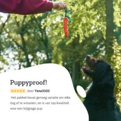 All 4 Pets Supply® Honden Speelgoed Set Geschikt Voor Puppy's T/m Middelgrote Honden - 12 Stuks - Hondenspeeltjes - Intelligentie - Touw - Flostouw - Bijtring - Bal -Honden Benodigdheden Verkoop 1200x1200 2293