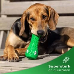 Tandenborstel Hond Melk Geur Smaak En Piep Honden Speelgoed Dog Toy - Krokodil Groen - Dutchwide -Honden Benodigdheden Verkoop 1200x1200 2300