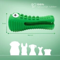 Tandenborstel Hond Melk Geur Smaak En Piep Honden Speelgoed Dog Toy - Krokodil Groen - Dutchwide -Honden Benodigdheden Verkoop 1200x1200 2303