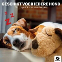 Vulpes Pets® Knuffel Hond Met Hartslag – Puppyknuffel - Hondenknuffel Voor Puppy - Snuggle Puppy - Knuffel Met Hartslag En Gratis Warmte Pad Speciaal Voor Puppy's 19 Vulpes Pets® Knuffel Hond Met Hartslag – Puppyknuffel - Hondenknuffel Voor Puppy - Snuggle Puppy - Knuffel Met Hartslag En Gratis Warmte Pad Speciaal Voor Puppy's -Honden Benodigdheden Verkoop 1200x1200 2313
