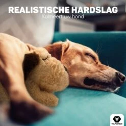 Vulpes Pets® Knuffel Hond Met Hartslag – Puppyknuffel - Hondenknuffel Voor Puppy - Snuggle Puppy - Knuffel Met Hartslag En Gratis Warmte Pad Speciaal Voor Puppy's 21 Vulpes Pets® Knuffel Hond Met Hartslag – Puppyknuffel - Hondenknuffel Voor Puppy - Snuggle Puppy - Knuffel Met Hartslag En Gratis Warmte Pad Speciaal Voor Puppy's -Honden Benodigdheden Verkoop 1200x1200 2315