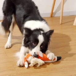 BoDutch Honden Knuffel - Vos - Puppyknuffel - Knisperoortjes - Met Piep - Oranje - 36 Cm - Hondenspeelgoed 17 BoDutch Honden Knuffel - Vos - Puppyknuffel - Knisperoortjes - Met Piep - Oranje - 36 Cm - Hondenspeelgoed -Honden Benodigdheden Verkoop 1200x1200 2317