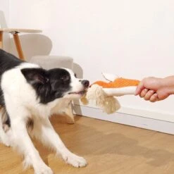 BoDutch Honden Knuffel - Vos - Puppyknuffel - Knisperoortjes - Met Piep - Oranje - 36 Cm - Hondenspeelgoed 20 BoDutch Honden Knuffel - Vos - Puppyknuffel - Knisperoortjes - Met Piep - Oranje - 36 Cm - Hondenspeelgoed -Honden Benodigdheden Verkoop 1200x1200 2318