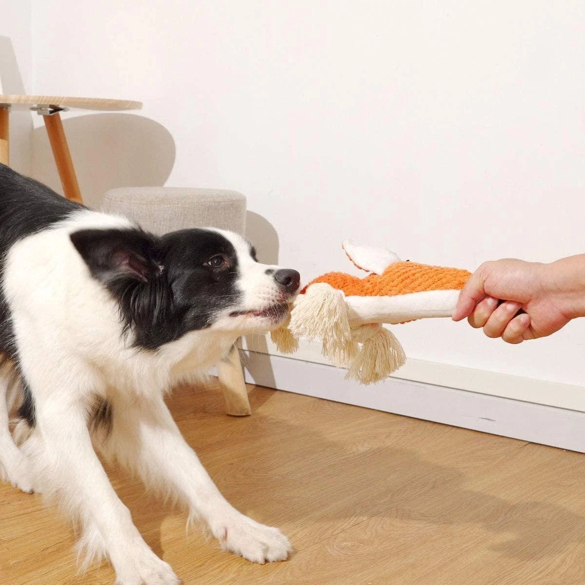 BoDutch Honden Knuffel - Vos - Puppyknuffel - Knisperoortjes - Met Piep - Oranje - 36 Cm - Hondenspeelgoed 10 BoDutch Honden Knuffel - Vos - Puppyknuffel - Knisperoortjes - Met Piep - Oranje - 36 Cm - Hondenspeelgoed - Afbeelding 8