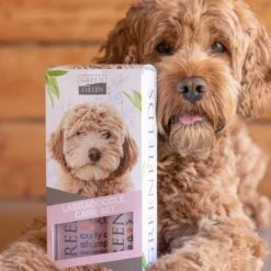 Greenfields Labradoodle Vacht Verzorgingsset - Shampoo En Anti-Klit Spray Voor Langharige Of Krullende Vacht -Honden Benodigdheden Verkoop 1200x1200 232
