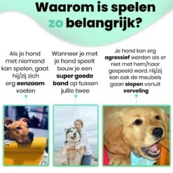 Petloverz – Honden Speelgoed Set – Honden Speeltjes – Knuffel - Speelgoed – Intelligentie – 15 Speeltjes 12 Petloverz – Honden Speelgoed Set – Honden Speeltjes – Knuffel - Speelgoed – Intelligentie – 15 Speeltjes -Honden Benodigdheden Verkoop 1200x1200 2329