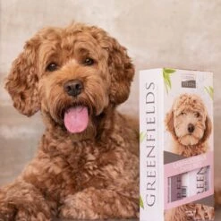 Greenfields Labradoodle Vacht Verzorgingsset - Shampoo En Anti-Klit Spray Voor Langharige Of Krullende Vacht -Honden Benodigdheden Verkoop 1200x1200 233