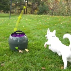 PetSafe Automatische Ballenwerper - Dierenspeelgoed -Honden Benodigdheden Verkoop 1200x1200 2336
