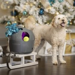 PetSafe Automatische Ballenwerper - Dierenspeelgoed -Honden Benodigdheden Verkoop 1200x1200 2337