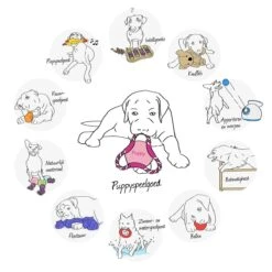 Kong Puppy Goodie Bone Small Small - 1 ST -Honden Benodigdheden Verkoop 1200x1200 2340