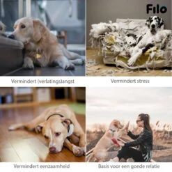 Filo Hondenknuffel Met Hartslag En Warmtebron - Hartslagknuffel Hondenspeelgoed Snuggle Puppy - Knuffel Met Hartslag - Heartbeat Knuffel Hond -Honden Benodigdheden Verkoop 1200x1200 2345