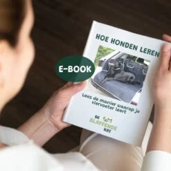 De Blaffende Kat Wasdrogerbollen - Droger Ballen - Huisdier Haarverwijderaar - 4 Wasbollen Voor Wasmachine En Droger -Honden Benodigdheden Verkoop 1200x1200 235