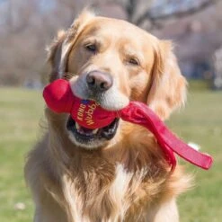 Kong Wubba - Hondenspeelgoed - Assorti - L: 36 Cm 21 Kong Wubba - Hondenspeelgoed - Assorti - L: 36 Cm -Honden Benodigdheden Verkoop 1200x1200 2358