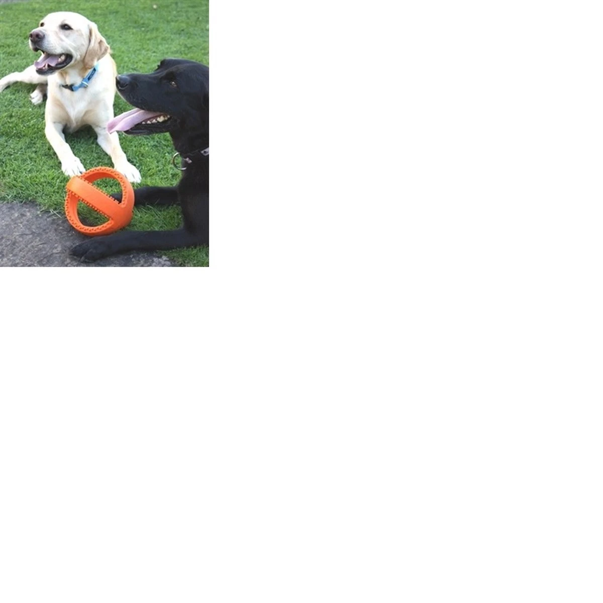 Happy Pet Grubber Interactieve Voetbal Blauw (18X18X18 CM) 5 Happy Pet Grubber Interactieve Voetbal Blauw (18X18X18 CM) - Afbeelding 3