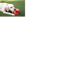 Happy Pet Grubber Interactieve Voetbal Blauw (18X18X18 CM) 9 Happy Pet Grubber Interactieve Voetbal Blauw (18X18X18 CM) -Honden Benodigdheden Verkoop 1200x1200 2367