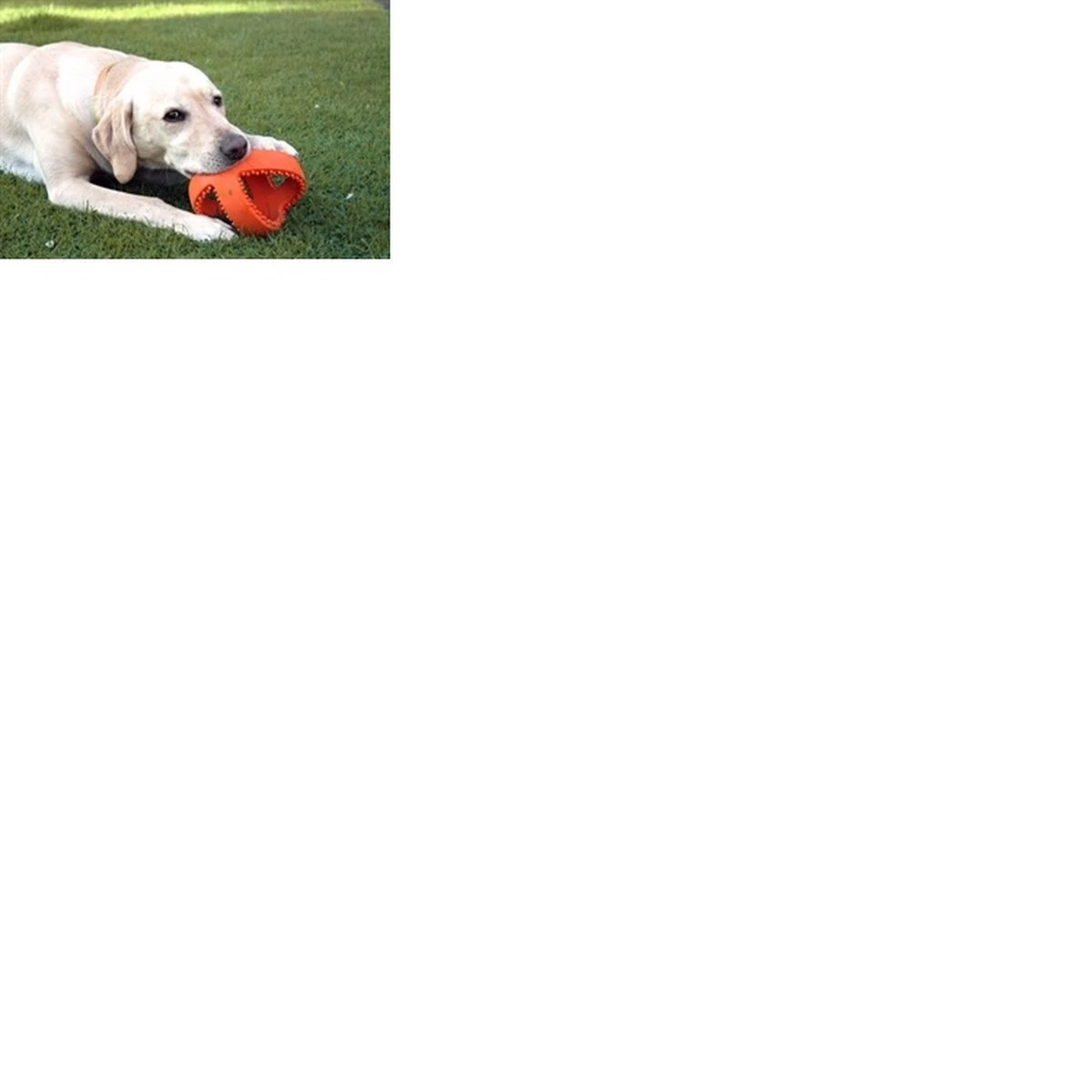 Happy Pet Grubber Interactieve Voetbal Blauw (18X18X18 CM) 6 Happy Pet Grubber Interactieve Voetbal Blauw (18X18X18 CM) - Afbeelding 4