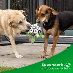 Honden Speelgoed Bal Voetbal Extra Sterk Met Handvaten Ball Hondenbal - 15 Cm - Dutchwide -Honden Benodigdheden Verkoop 1200x1200 2371