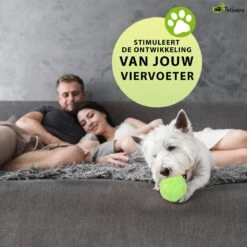 Petloverz Magic Roller Ball – Honden Speelgoed – Premium Automatische Rollende Bal 17 Petloverz Magic Roller Ball – Honden Speelgoed – Premium Automatische Rollende Bal -Honden Benodigdheden Verkoop 1200x1200 2379