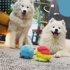 Merkloos Magic Roller Ball – Honden Speelgoed – Kattenspeeltjes - Honden Speeltjes - Kattenspeelgoed - INCLUSIEF BATTERIJ 11 Merkloos Magic Roller Ball – Honden Speelgoed – Kattenspeeltjes - Honden Speeltjes - Kattenspeelgoed - INCLUSIEF BATTERIJ -Honden Benodigdheden Verkoop 1200x1200 2387