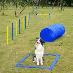 Agility Voor De Hond - 16 Delig - Agility Set - Hondentunnel - Horde - Slalom Palen - Honden Training Set - Honden Behendigheidsset - Agility Toestellen 18 Agility Voor De Hond - 16 Delig - Agility Set - Hondentunnel - Horde - Slalom Palen - Honden Training Set - Honden Behendigheidsset - Agility Toestellen -Honden Benodigdheden Verkoop 1200x1200 2397