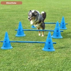 Agility Voor De Hond - Honden Training - Dog Activity - Behendigheid Hond - Parcours -Honden Benodigdheden Verkoop 1200x1200 2402
