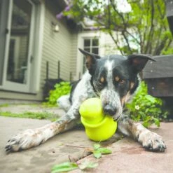 West Paw Toppl Zogoflex - Uitdagend En Sterk Speelgoed Voor Honden - Slowfeeder - Vulbaar Met Voer Of Snacks - Kleur: Groen, Maat: Large -Honden Benodigdheden Verkoop 1200x1200 2407