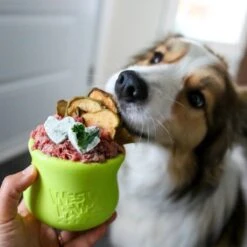 West Paw Toppl Zogoflex - Uitdagend En Sterk Speelgoed Voor Honden - Slowfeeder - Vulbaar Met Voer Of Snacks - Kleur: Groen, Maat: Large -Honden Benodigdheden Verkoop 1200x1200 2408