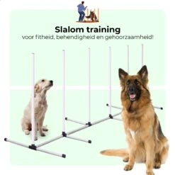AYOO Agility Voor De Hond - Honden Training - Honden Behendigheid Set - Hondenparcours - Training Huisdieren - Honden Agility Set - Slalom - Horde - Draagzak - Agility Set - Oranje - Wit - GRATIS Speeltouw -Honden Benodigdheden Verkoop 1200x1200 2425