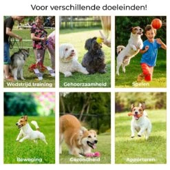 AYOO Agility Voor De Hond - Honden Training - Honden Behendigheid Set - Hondenparcours - Training Huisdieren - Honden Agility Set - Slalom - Horde - Draagzak - Agility Set - Oranje - Wit - GRATIS Speeltouw -Honden Benodigdheden Verkoop 1200x1200 2426