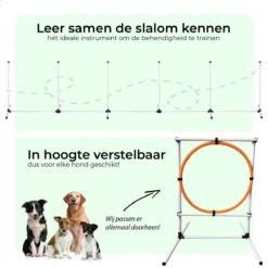 AYOO Agility Voor De Hond - Honden Training - Honden Behendigheid Set - Hondenparcours - Training Huisdieren - Honden Agility Set - Slalom - Horde - Draagzak - Agility Set - Oranje - Wit - GRATIS Speeltouw -Honden Benodigdheden Verkoop 1200x1200 2427