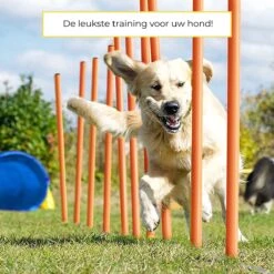 AYOO Agility Voor De Hond - Honden Agility Set - Honden Training - Honden Behendigheid Set - Honden Parcours - Training Huisdieren - Tunnel - Slalom - Horde - Draagzak - 21 Delig - GRATIS Speeltouw -Honden Benodigdheden Verkoop 1200x1200 2432