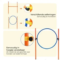 AYOO Agility Voor De Hond - Honden Agility Set - Honden Training - Honden Behendigheid Set - Honden Parcours - Training Huisdieren - Tunnel - Slalom - Horde - Draagzak - 21 Delig - GRATIS Speeltouw -Honden Benodigdheden Verkoop 1200x1200 2433