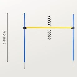 Agility Voor De Hond - Agility Set- Hondentunnel 300 Cm- Slalom Set - Horde - Startveld - Honden Behendigheidsset - 16 Delig - Tunnel - Slalom - Horde - Agility Set Voor De Hond - Agility Set 21 Agility Voor De Hond - Agility Set- Hondentunnel 300 Cm- Slalom Set - Horde - Startveld - Honden Behendigheidsset - 16 Delig - Tunnel - Slalom - Horde - Agility Set Voor De Hond - Agility Set -Honden Benodigdheden Verkoop 1200x1200 2445