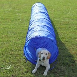 Agility Voor De Hond - Agility Set- Hondentunnel 300 Cm- Slalom Set - Horde - Startveld - Honden Behendigheidsset - 16 Delig - Tunnel - Slalom - Horde - Agility Set Voor De Hond - Agility Set 25 Agility Voor De Hond - Agility Set- Hondentunnel 300 Cm- Slalom Set - Horde - Startveld - Honden Behendigheidsset - 16 Delig - Tunnel - Slalom - Horde - Agility Set Voor De Hond - Agility Set -Honden Benodigdheden Verkoop 1200x1200 2449
