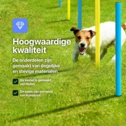 Tavaro Agility Voor De Hond - Honden Training - Hondentunnel - Springhoepel - Horde - Slalom - Honden Behendigheid Trainingsset 14 Tavaro Agility Voor De Hond - Honden Training - Hondentunnel - Springhoepel - Horde - Slalom - Honden Behendigheid Trainingsset -Honden Benodigdheden Verkoop 1200x1200 2455