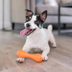 West Paw Zogoflex Hurley - Super Sterk Kauwbot Voor Honden - Kleur: Blauw, Maat: Large -Honden Benodigdheden Verkoop 1200x1200 2457
