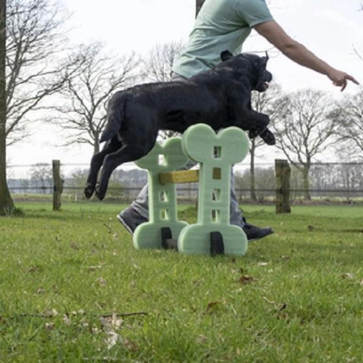 Dog Agility Set Indoor En Outdoor - Honden Trainingsset - 8 Dog Agility Set Indoor En Outdoor - Honden Trainingsset - - Afbeelding 6