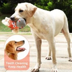 Merkloos Hondenknuffel - Interactief Piepspeelgoed Voor Honden - Teddy - Stoer Hondenkauwspeelgoed - Met Katoenen Materiaal En Gekreukt Papier - Hondenspeelgoed Voor Grote En Kleine Honden -Honden Benodigdheden Verkoop 1200x1200 2495